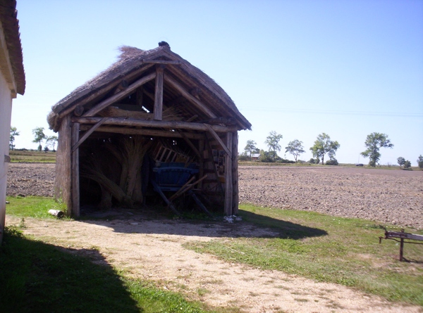 Visite du Marais Poitevin : Marais Dessch