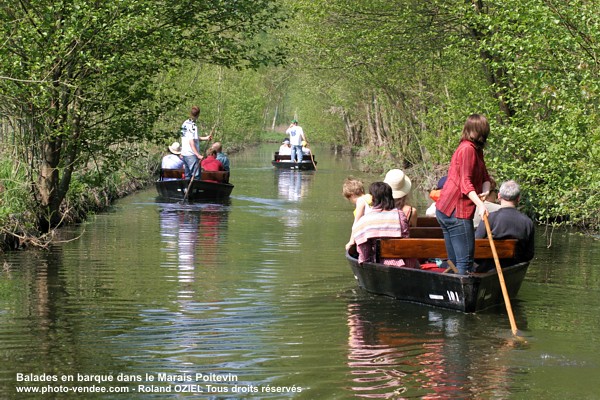 Balade en barque dans le Marais Poitevin