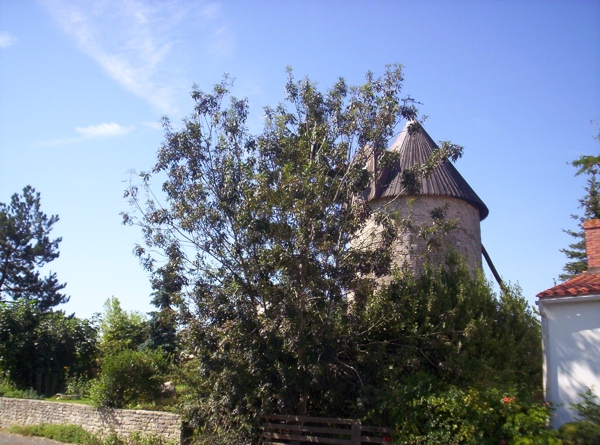 Moulin  Vent du Marais Poitevin